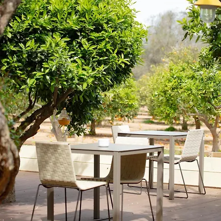 Ξενοδοχείο Jaume Private By Ocean Drive 4*