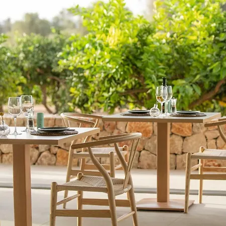Jaume Private By Ocean Drive 4* Puig D'en Valls