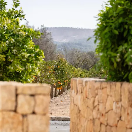 ホテル Jaume Private By Ocean Drive Puig D’en Valls